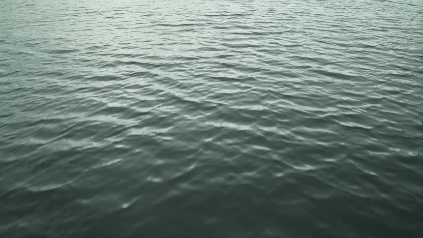 A serene view of gentle waves moving across a dark body of water