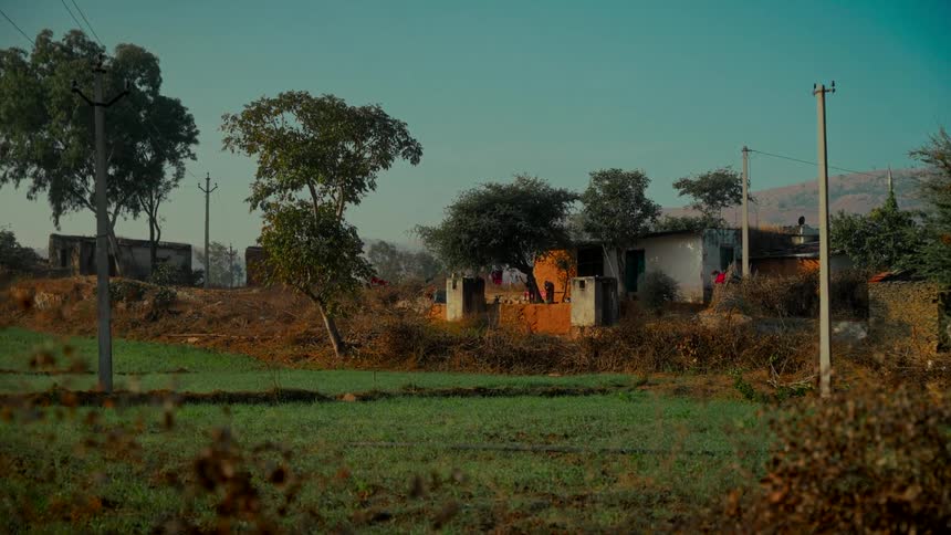 A tranquil wide shot of a rural Indian village home surrounded by green fields on a clear day
