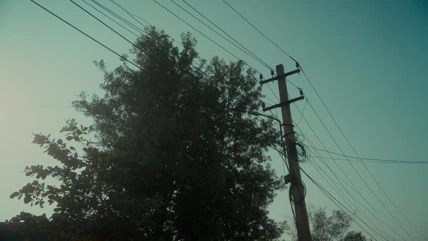A still shot looking up at a silhouetted tree and an electricity pole against a hazy blue sky