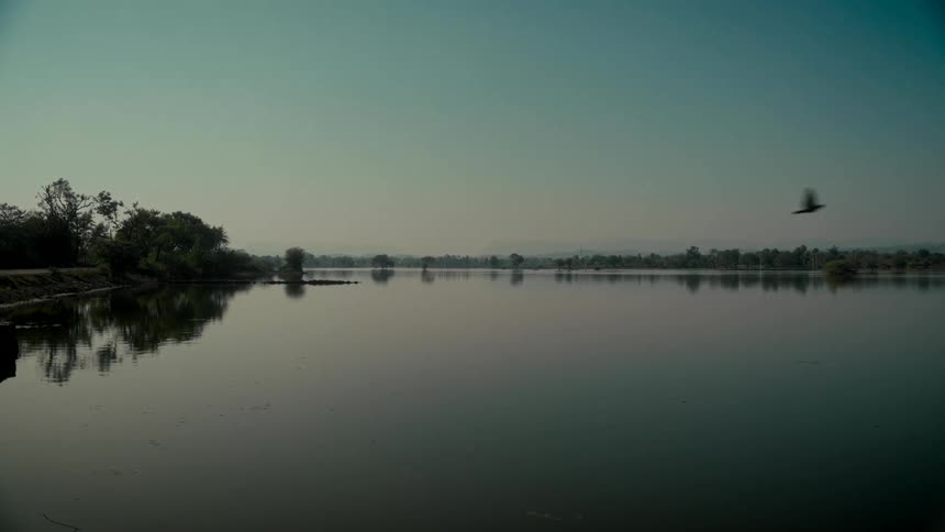 A serene, wide shot of a tranquil lake with perfect reflections as a bird flies across in slow motion