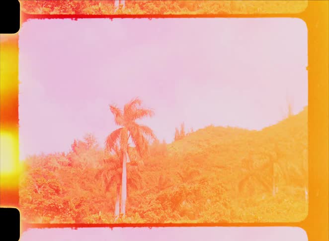 Vintage 8mm film captures a static shot of a lush tropical hillside with palm trees under a partly cloudy sky