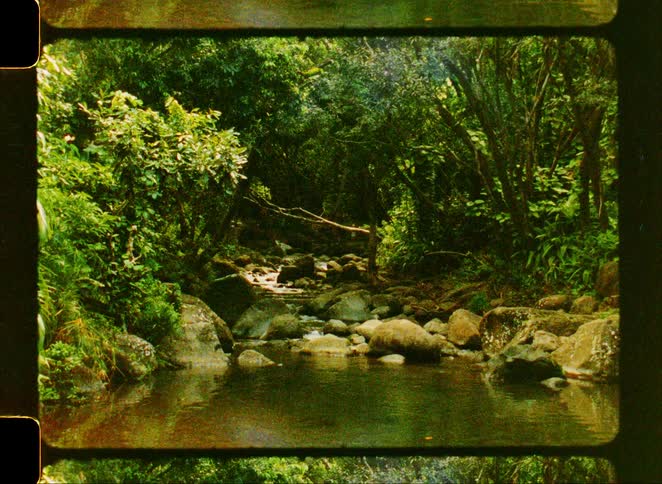 Archival film scan shows a tranquil, rocky stream winding through a lush, green jungle