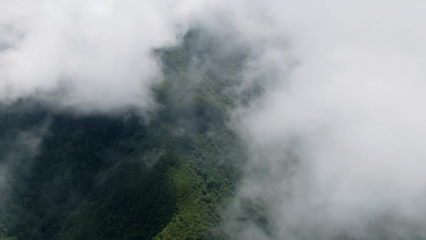 An aerial view shows a lush, green mountain ridge peeking through a thick blanket of slow-moving clouds and fog