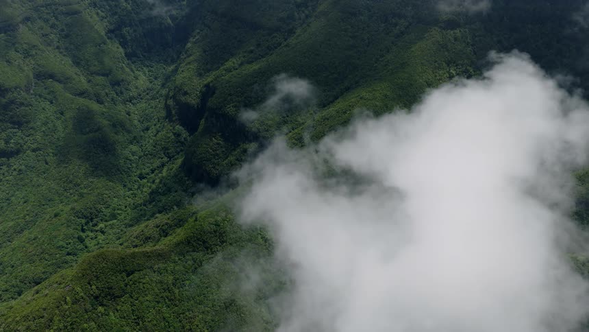 An aerial view above the clouds reveals the lush green mountains and deep valleys of a tropical rainforest