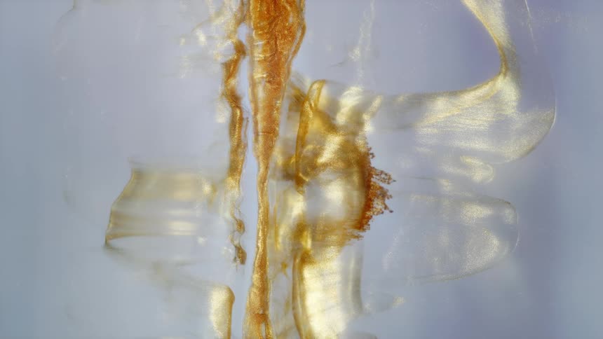 Elegant golden and pearlescent metallic paint swirls and flows slowly in water, creating a mesmerizing abstract background