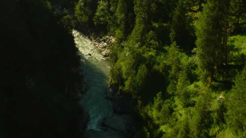 A river runs through a gorge lined with pine trees