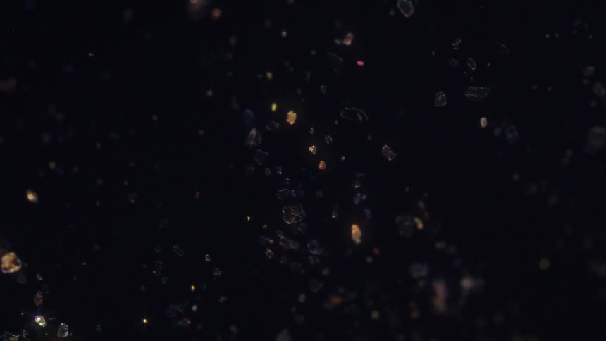 Iridescent, shimmering particles and crystals drift and sparkle against a black background