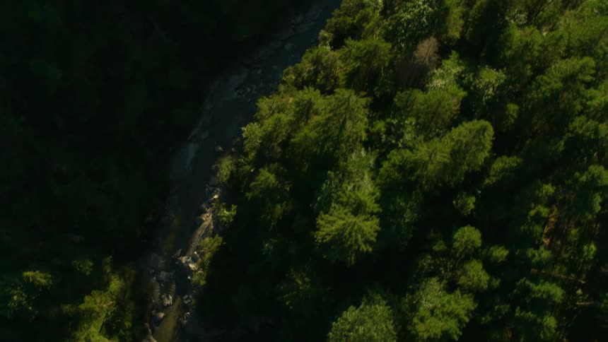 A river runs through a gorge lined with pine trees
