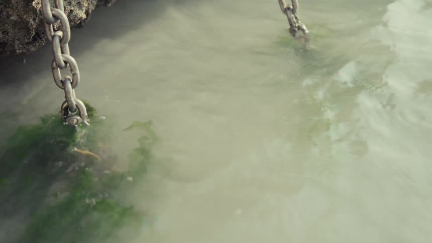 Close-up of metal anchor chains covered in vibrant green seaweed swaying gently in the murky sea
