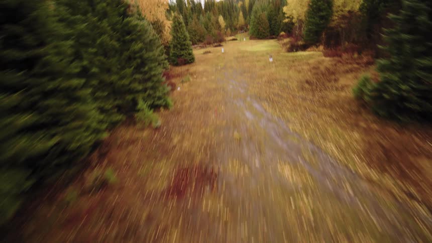 An exhilarating FPV drone shot soars up from the ground, racing through an autumnal valley surrounded by evergreen and golden-leafed trees