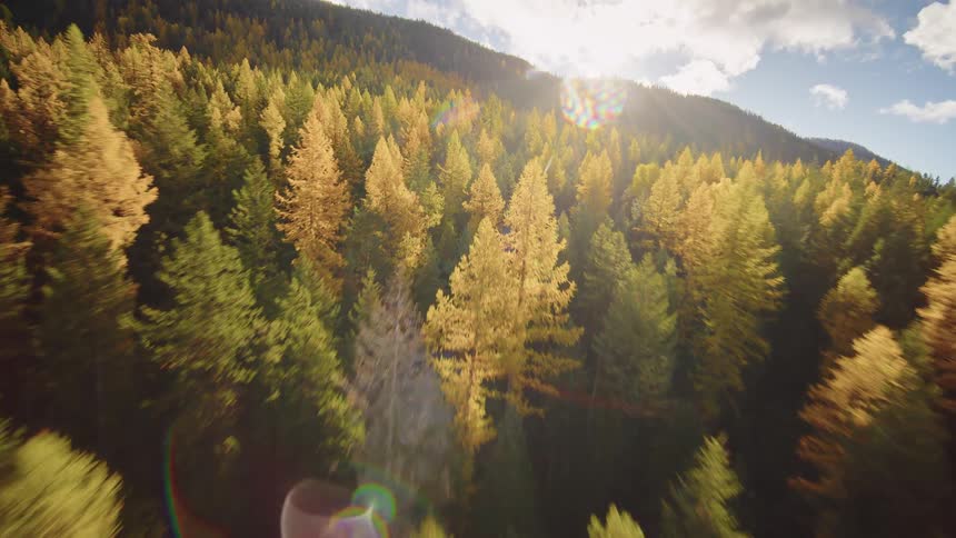 An exhilarating aerial flight over a sun-kissed mountain forest in the peak of autumn, with a beautiful lens flare