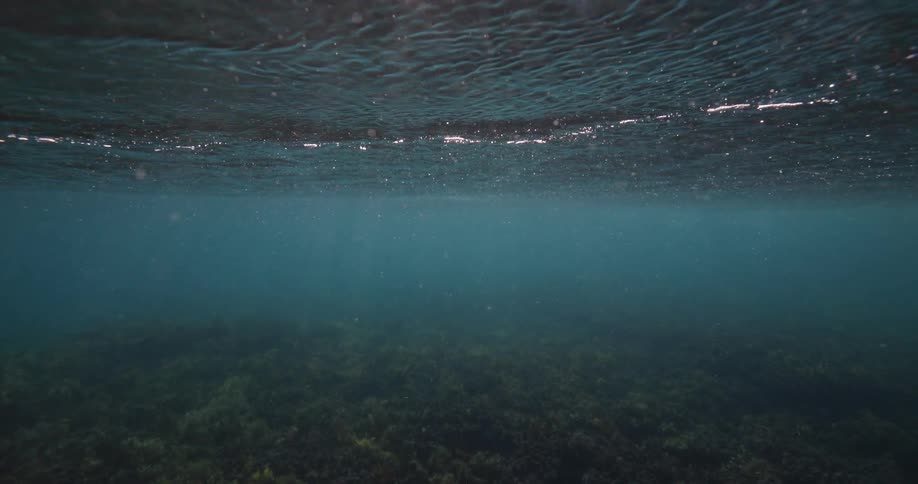 The shimmering surface of the ocean from an underwater perspective, with sunbeams illuminating the dark seafloor