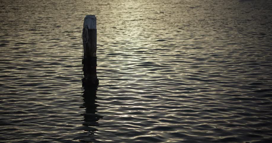 A lone wooden pylon stands in gently rippling water as the golden light of sunset reflects on the surface