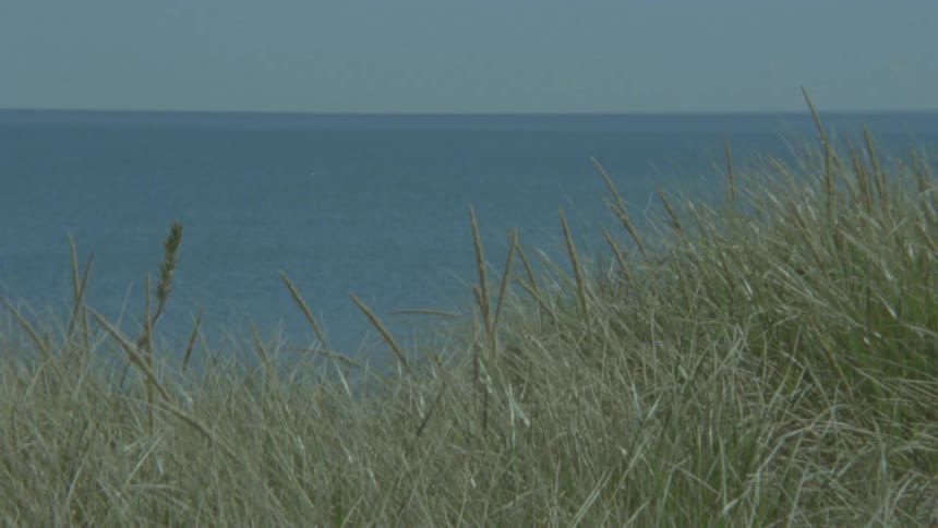 A tranquil, static view from a grassy dune overlooking the calm, blue sea and clear sky