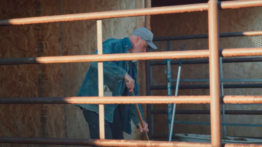 A long-bearded farmer wearing a denim jacket rakes out an animal stall into a wheelbarrow