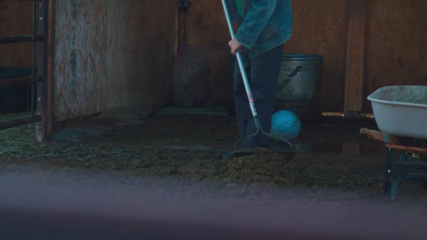 An older farmer with a white beard rakes and cleans the floor of a horse stall in a rustic barn