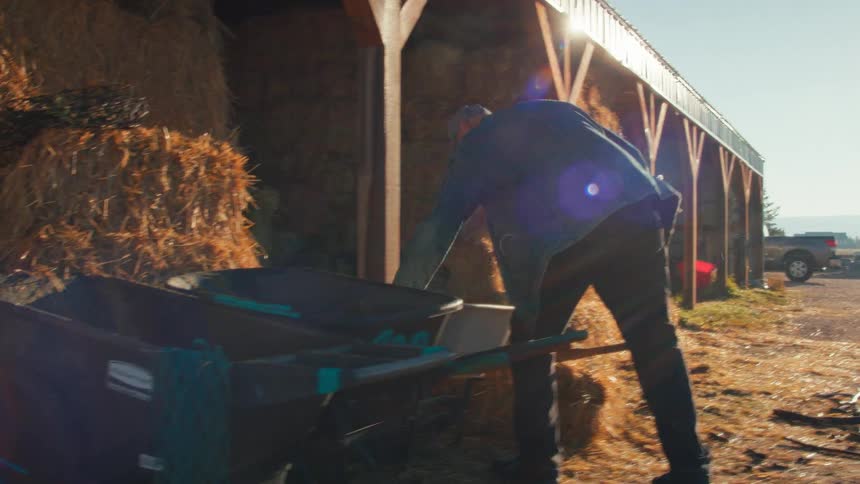 In slow motion, a hardworking older farmer with a long white beard grabs a wheelbarrow to begin his chores on a sunny morning at the ranch