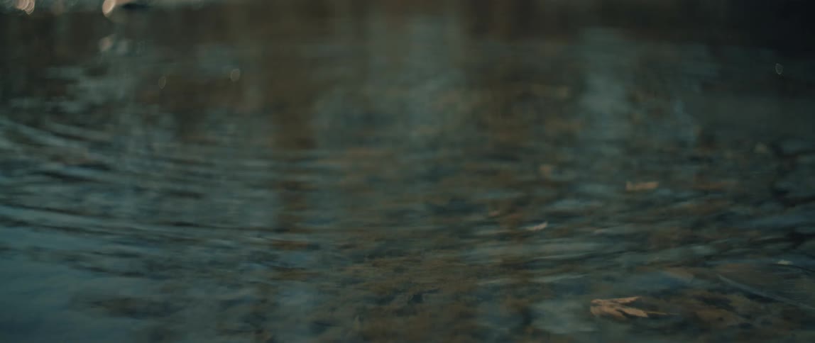 Gentle ripples expand in slow motion across the surface of a dark, calm body of water