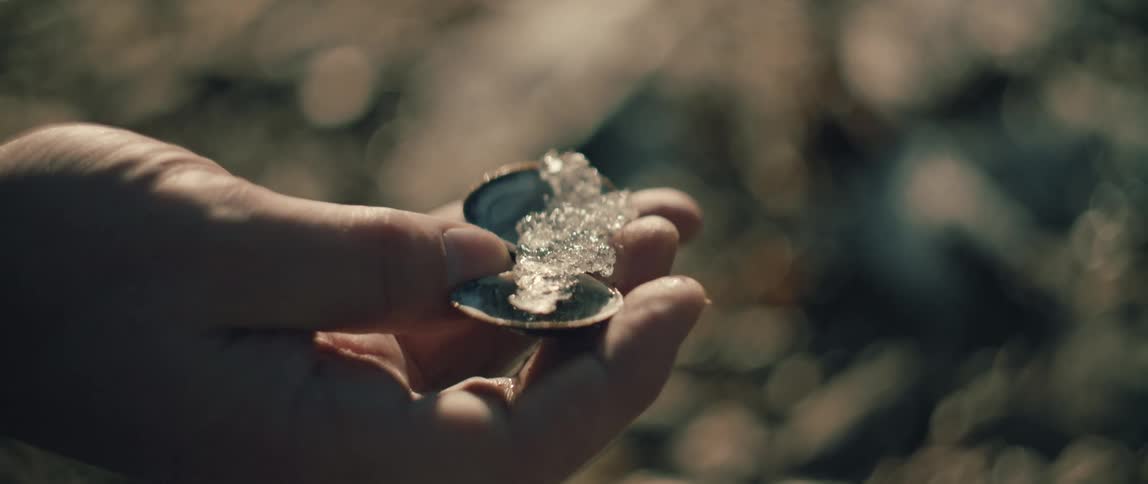 A person holds a seashell filled with glistening ice that is slowly melting in the sun