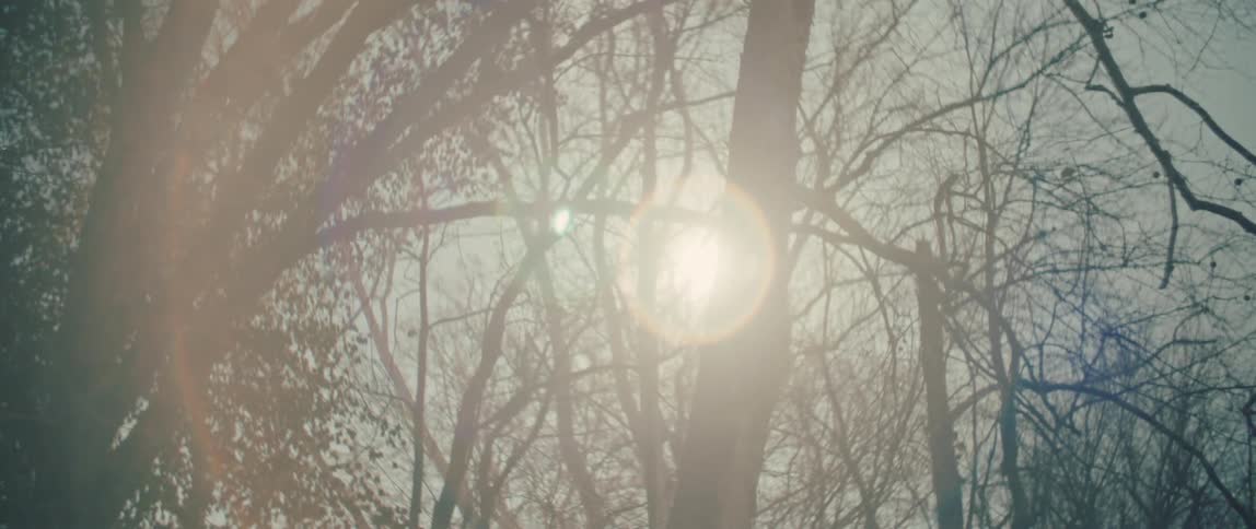 A time-lapse shot shows the sun slowly peeking through the bare branches of trees in a forest, creating a bright lens flare