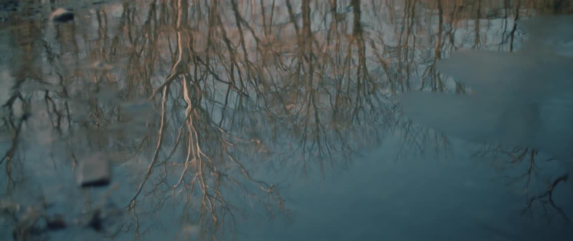 The reflection of bare winter trees ripples gently on the surface of a puddle