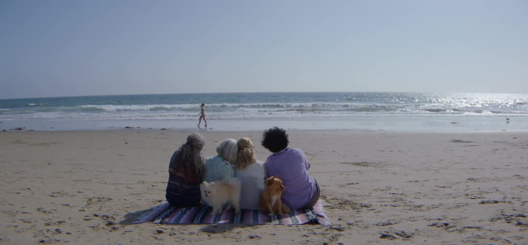 A group of older friends and their two dogs sit on a blanket on the sand, watching the ocean waves on a sunny day