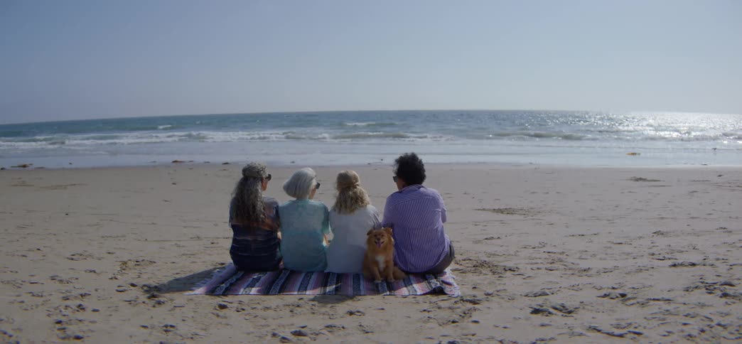 A group of four friends and their dog sit together on a blanket on the sand, looking out at the ocean waves on a sunny day