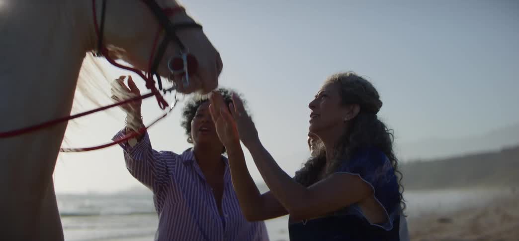 Three happy multiethnic women admire and pet a beautiful white horse on the beach at sunset