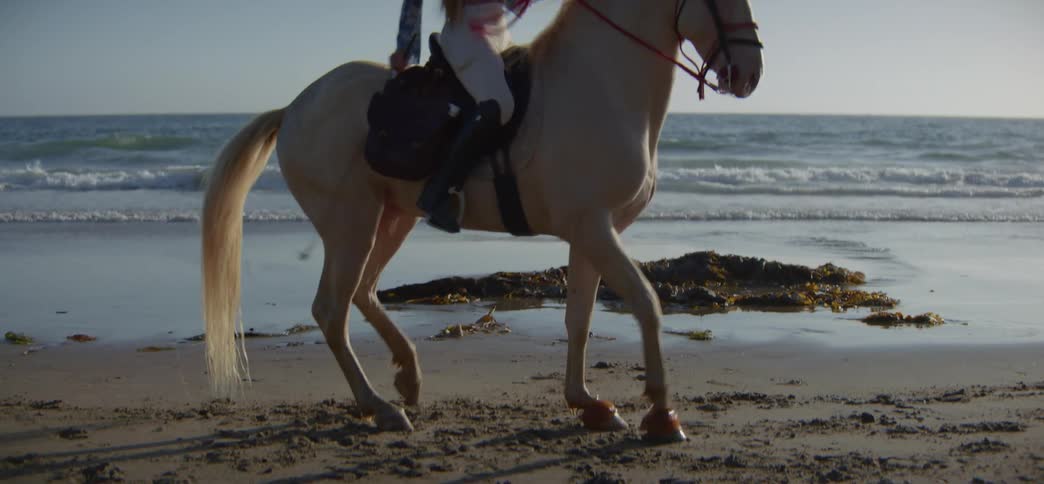 A blonde woman gracefully rides a powerful white stallion along the shoreline as it prances in the sand in slow motion