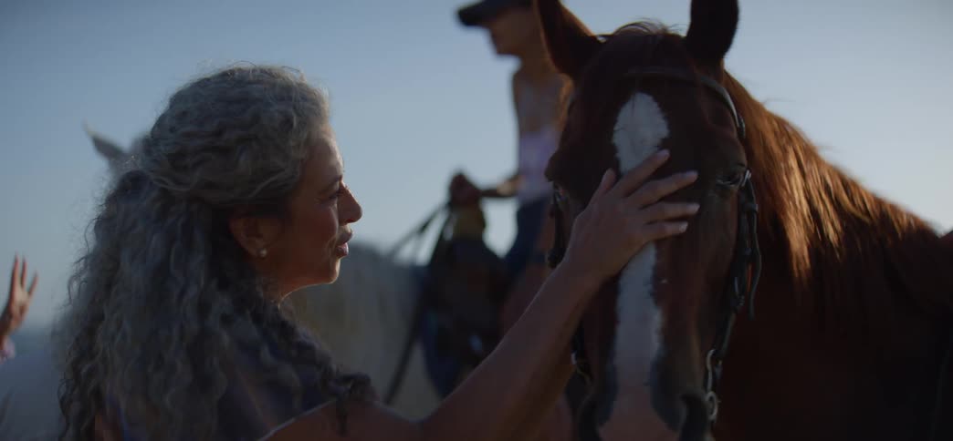A smiling woman with grey curly hair gently strokes a beautiful brown horse on a sunny beach in slow motion