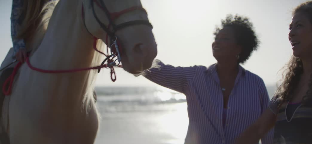 A diverse group of smiling women share a joyful moment petting and feeding a beautiful white horse on the beach at sunset