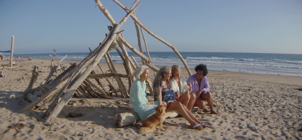 A group of diverse senior women friends sit together on a log at the beach with a small dog, talking and laughing next to a driftwood shelter