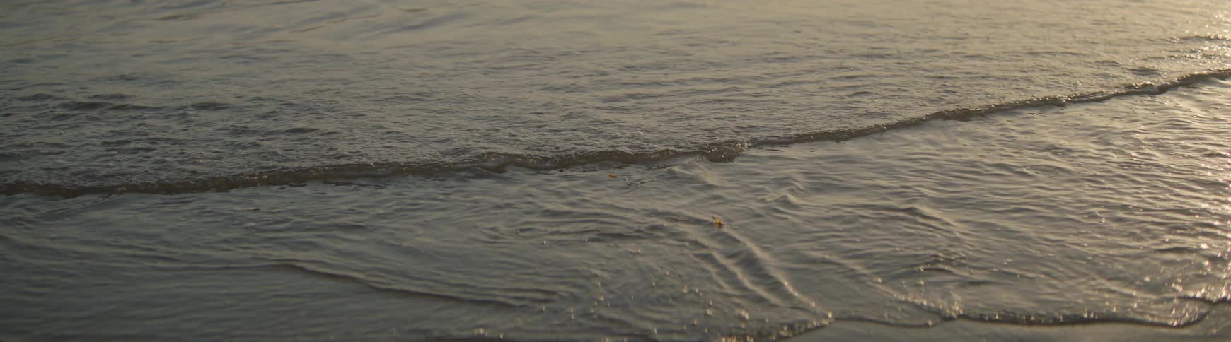 A serene close-up shot shows gentle ocean waves rolling onto the sandy shore in slow motion during a beautiful golden hour