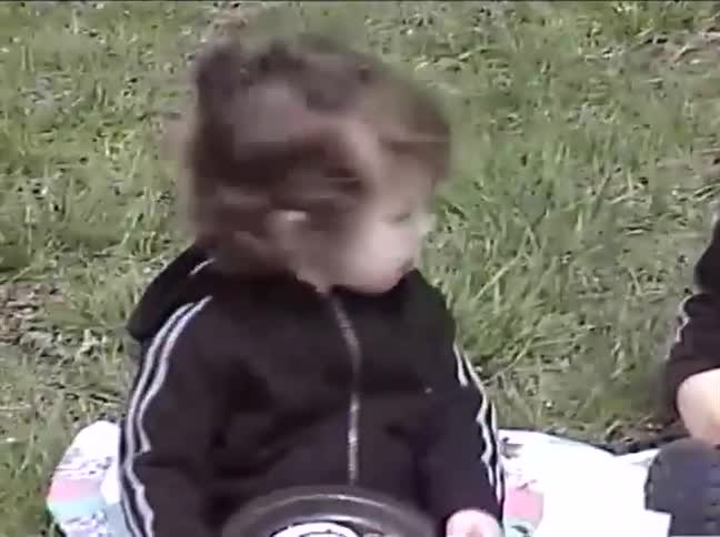 Vintage home video captures several groups of toddlers enjoying a picnic party in a sunny, green park