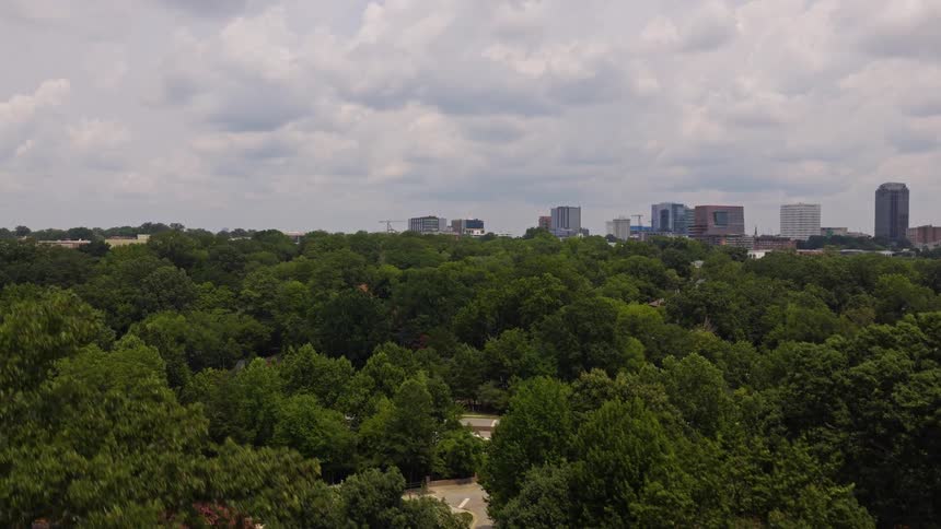 An aerial shot slowly rises over a lush green park, revealing a dense urban forest with a city skyline on the horizon under a cloudy sky