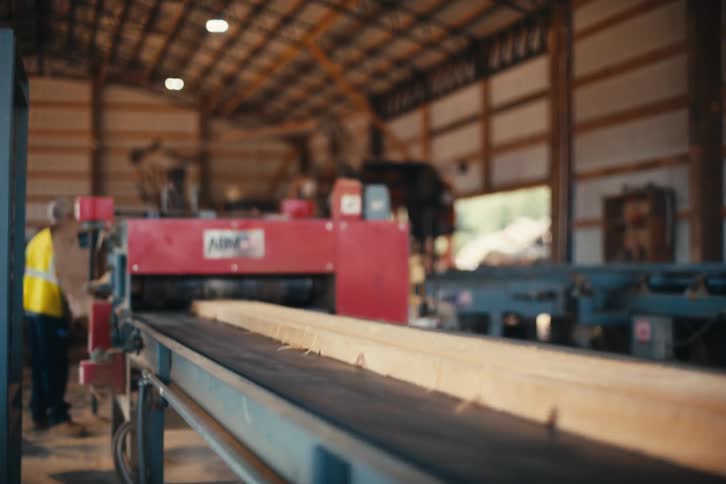 Slow motion rack focus from the ceiling down to a wooden plank moving along a conveyor belt in a sawmill