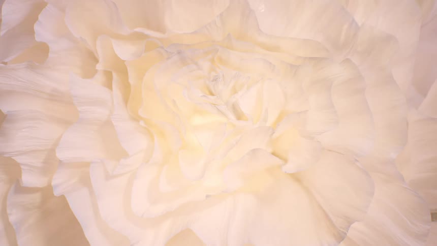 A delicate close-up of a large, soft white artificial flower with layers of petals softly illuminated from within