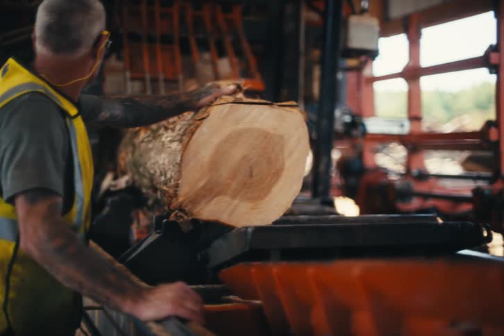 Sawmill operator in a safety vest guides a large tree log onto a conveyor belt for processing