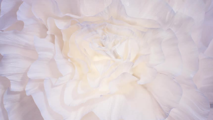 Soft, ethereal layers of white fabric petals create a beautiful and abstract floral background