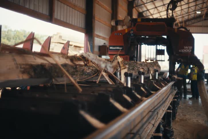 A large tree log moves along a conveyor belt inside a sawmill, ready for processing
