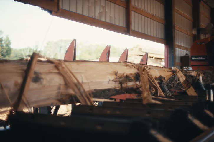 A large tree log is rotated and moved along a conveyor belt at an industrial sawmill