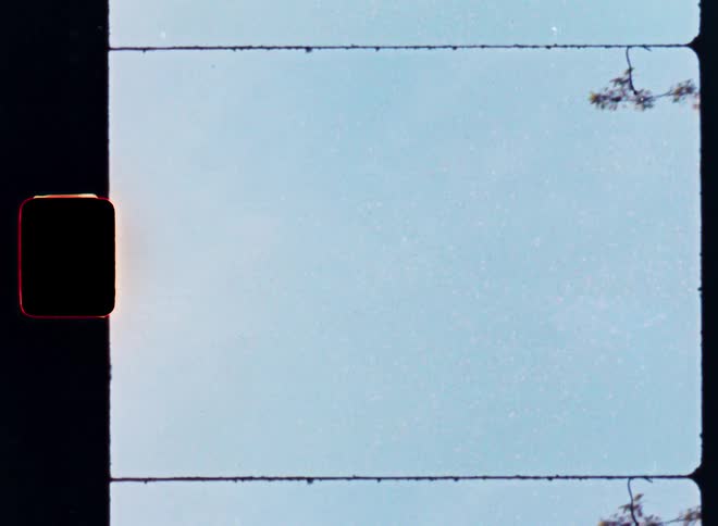 Low-angle vertical shot on vintage film of a cherry blossom branch slowly moving out of frame to reveal a clear blue sky