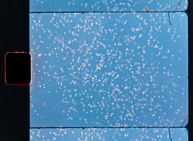 Dreamy vintage film shot looking up through cherry blossom branches as petals fall like snow against a bright blue sky