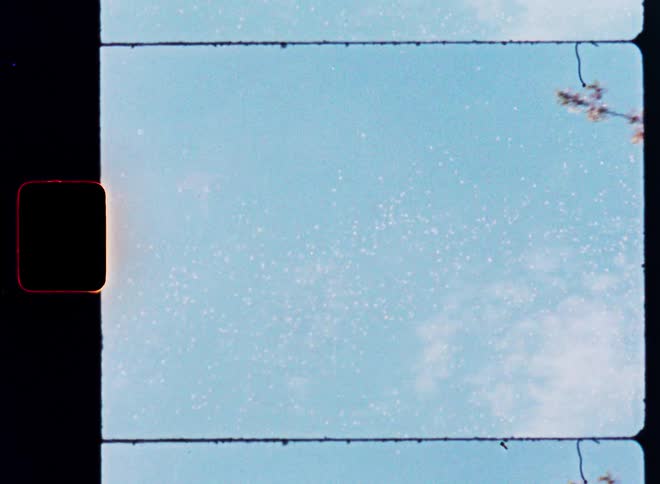 Dreamy vintage 8mm film captures a slow pan up a blossoming cherry tree into the bright blue spring sky