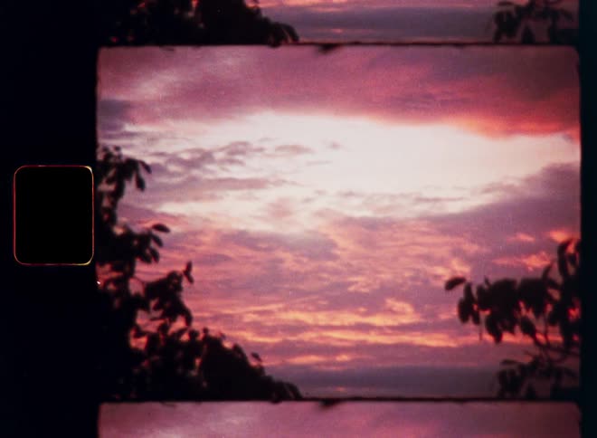 A beautiful sunset with purple and pink clouds is framed by trees, captured on grainy, authentic super 8 film