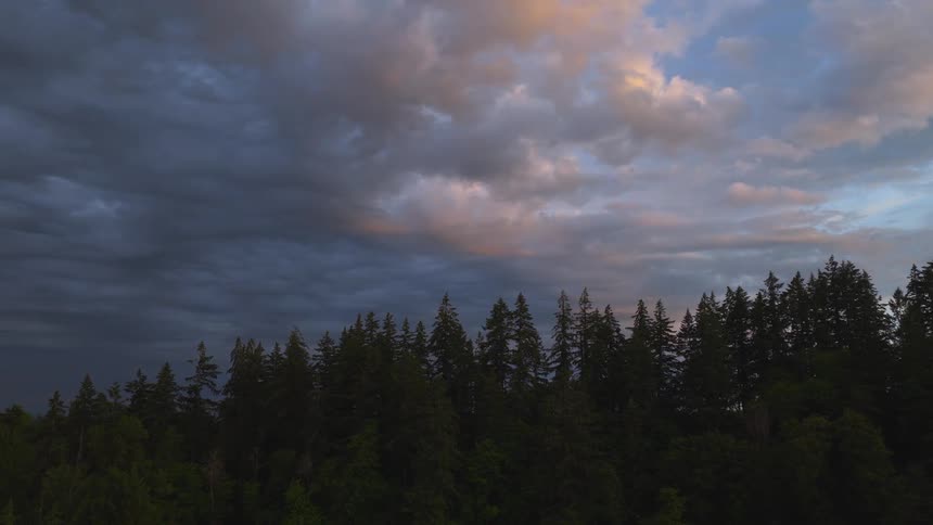 A dramatic, cloudy sunset sky hangs over a dark, dense forest treeline as the camera pulls back slowly