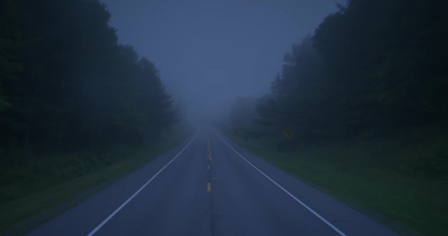 A road that runs through a forested area is shown on a foggy night