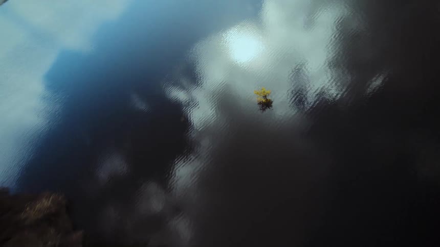 A surreal aerial view captures a solitary tree on a small island in a still lake reflecting the sky and sun