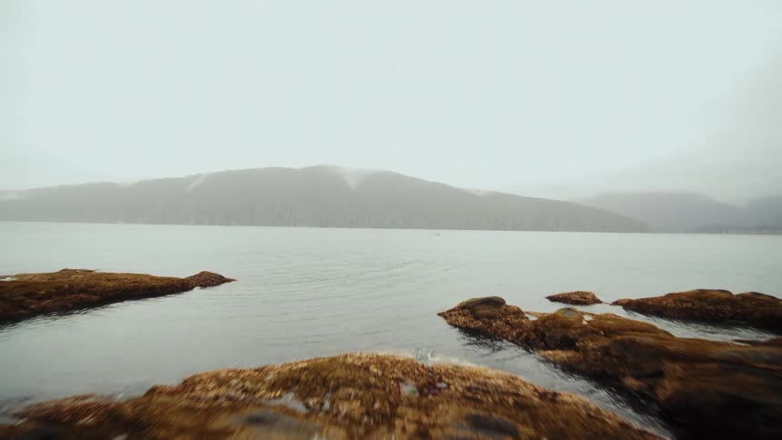 Slow pullback from a misty, tranquil ocean inlet reveals a rocky, forested shoreline with driftwood on an overcast day