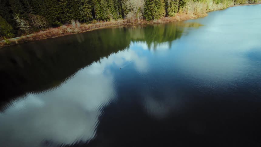 A fast-paced FPV drone dives down through an evergreen forest, soaring low over a calm, reflective lake before tilting up to the sky
